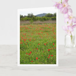 Poppies i Fält Porträtt Kort