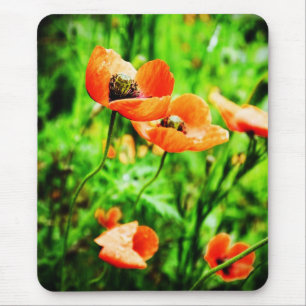 Poppies i Nya Zeeland Mousepad Musmatta