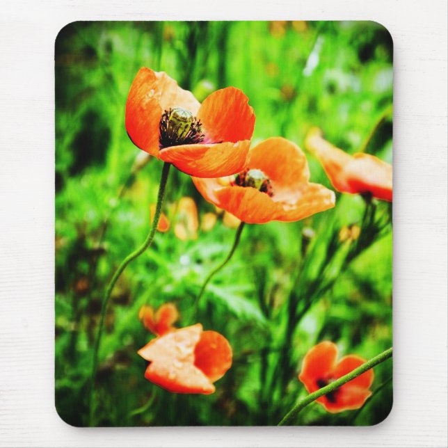 Poppies i Nya Zeeland Mousepad Musmatta (Framsidan)