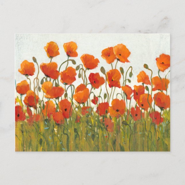 Poppies I-rader Vykort (Framsida)