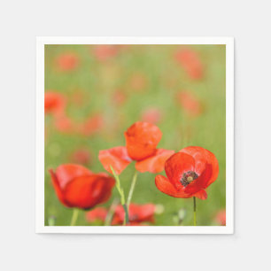 Poppies i vallmo fält pappra blöjor pappersservett