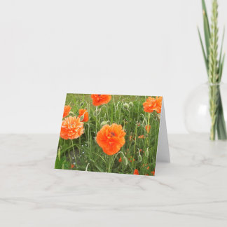 Poppies i Vinden Kort