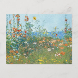 "Poppies, Isle of Shoals" - vykort