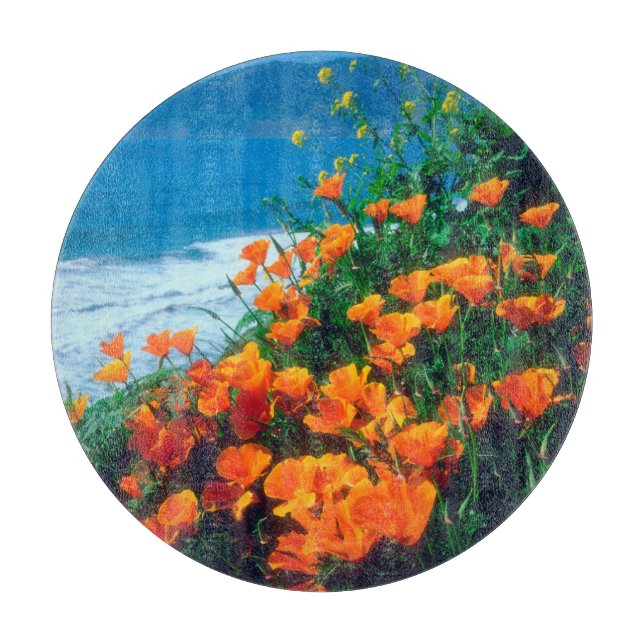 Poppies längs Stilla Kusten nära Big Sur (Framsidan)