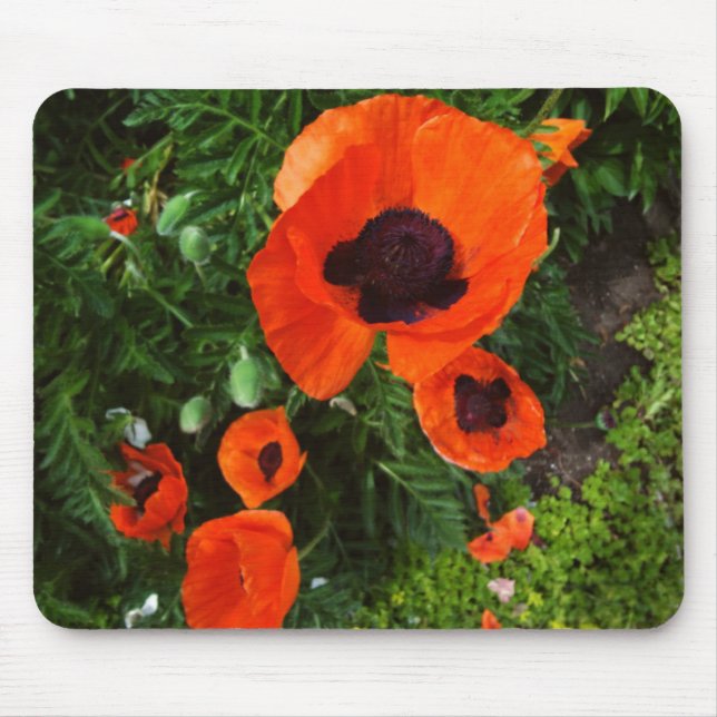 Poppies Mousepad Musmatta (Framsidan)