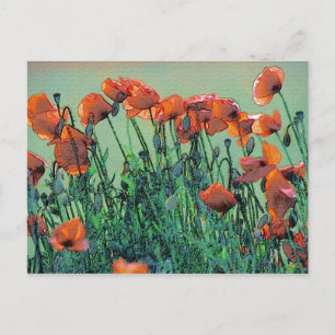Poppies nr 4 vykort