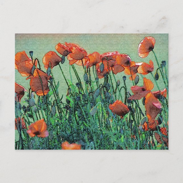 Poppies nr 4 | vykort (Framsida)