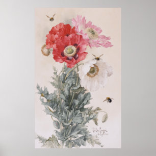 Poppies och bin poster