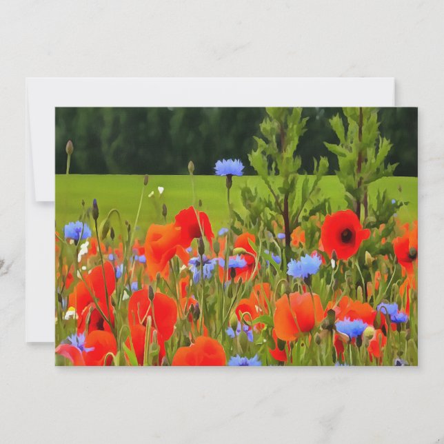 Poppies och kornblommor - realistisk landskapskons (Framsida)