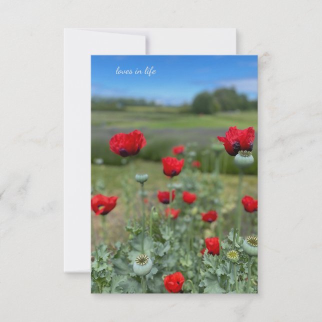 Poppies och vallmohuvuden anteckningskort (Framsida)