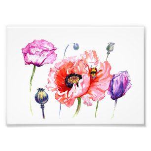 Poppies Poppy Fält Flowers, Blommigt Watercolor Ar Fototryck