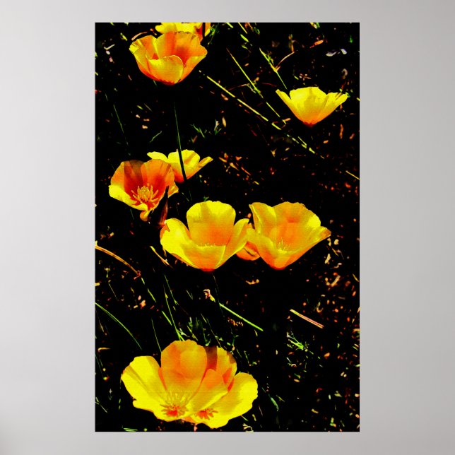 Poppies Poster (Framsidan)