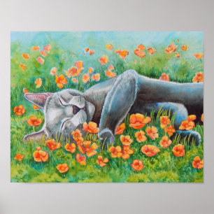 Poppies Poster