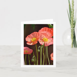 Poppies - stationär anteckningskort