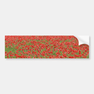 Poppies - tusental! bildekal