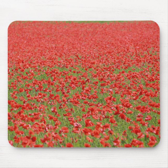 Poppies - tusental! musmatta (Framsidan)