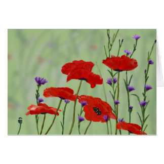 Poppies valfri tom Tillfälle OBS Kort