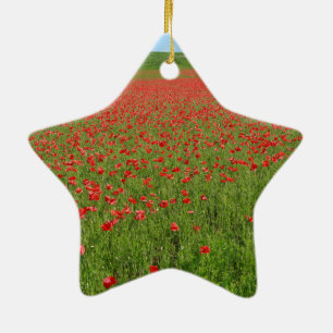 Poppies vid liv! julgransprydnad keramik
