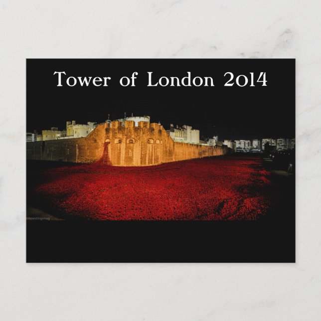 Poppies vid Torn i London - Night Panorama Vykort (Framsida)