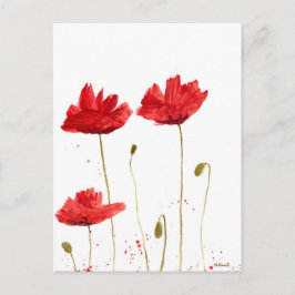 Poppies Vykort