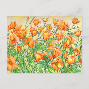 Poppies Vykort