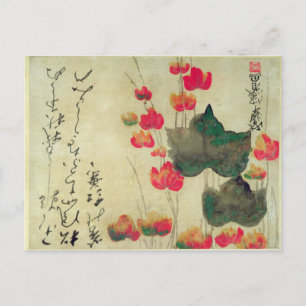 Poppies Vykort