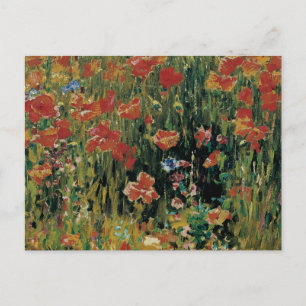 Poppies Vykort
