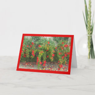 Popping Red Blooms- Sång of Sol. 4:1-hälsningskort Kort