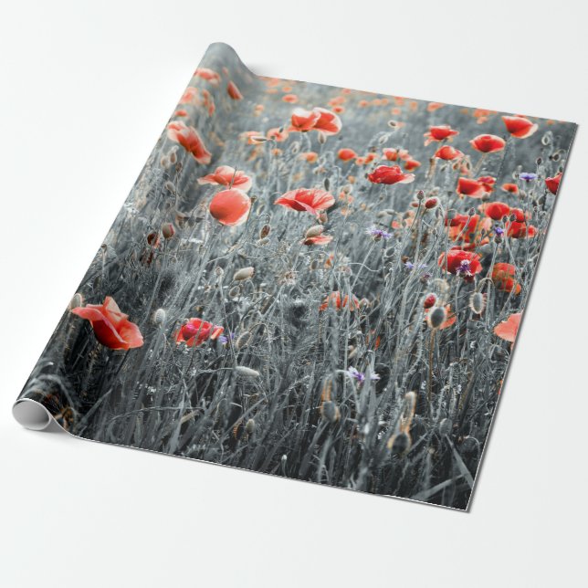 Poppor av vilda blommor presentpapper (Utrullad)