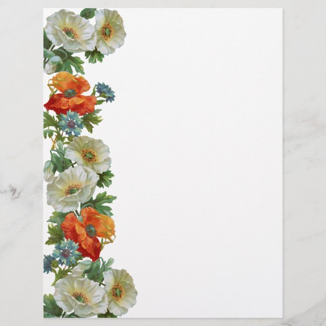 Poppy and Cornblommor Blommigt Art Letterhead (Framsida)
