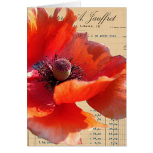 Poppy and Ephemera Digital Art Hälsningskort