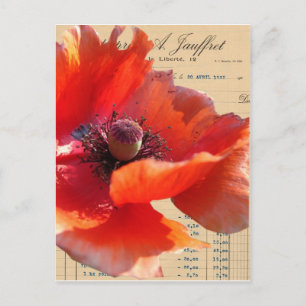 Poppy and Ephemera Digital Art Vykort