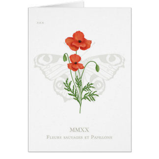 Poppy and peacock Butterfly Card OBS Kort