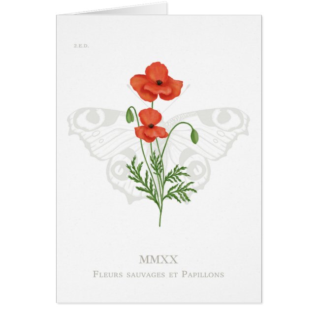Poppy and peacock Butterfly Card OBS Kort (Framsidan)