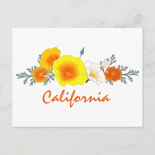 Poppy Bouquet med California Text Postcard Vykort (Framsida)