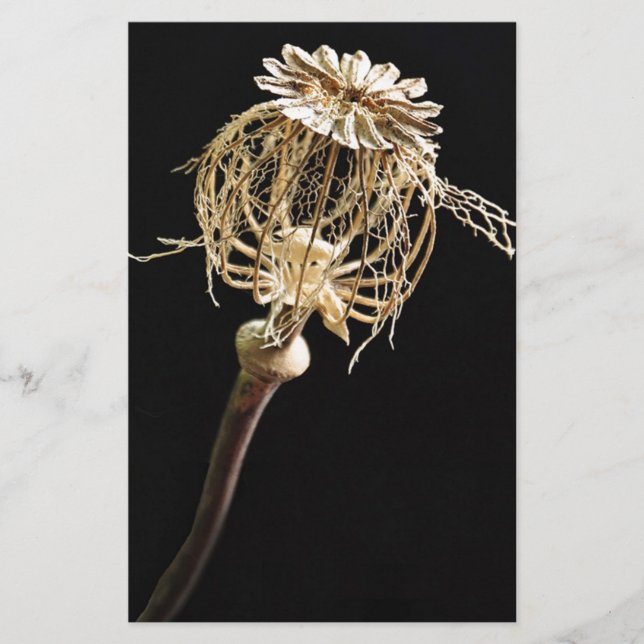 Poppy Brevpapper (Framsida)