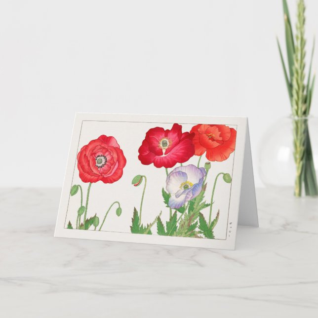 Poppy by Tanigami Konan Kort (Framsida)