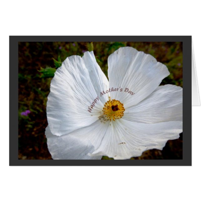 Poppy Card för lycklig Mors dag Hälsningskort (Framsidan Horizontal)