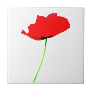 POPPY Collection 02-panel Kakelplatta