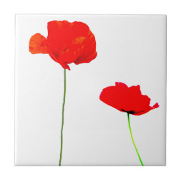 POPPY Collection 03-panel Kakelplatta