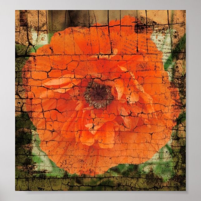 Poppy Crackle Poster (Framsidan)
