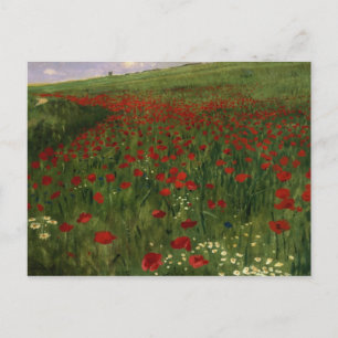 Poppy Fält, 1896 Vykort