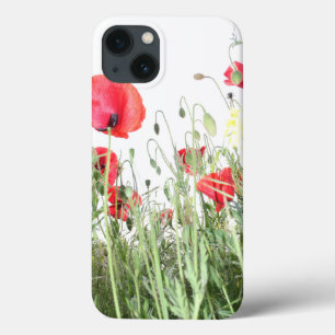 Poppy fält blommor Sol Nature blommar Heart