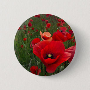 Poppy Fält Button Badge Knapp