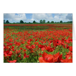 Poppy Fält Hälsningskort