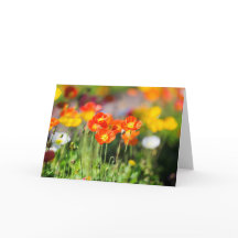 Poppy fält-hälsningskort