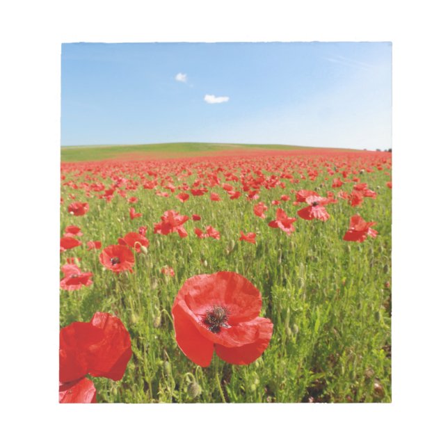 Poppy fält - häpnadsväckande! anteckningsblock (Framsida)