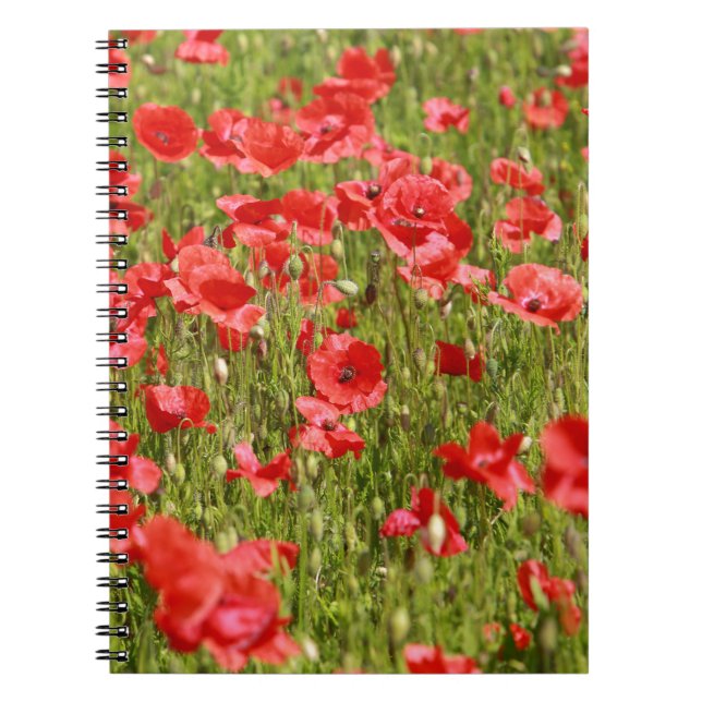 Poppy fält - häpnadsväckande! anteckningsbok (Framsidan)