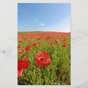 Poppy fält - häpnadsväckande! brevpapper