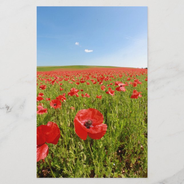 Poppy fält - häpnadsväckande! brevpapper (Framsida)